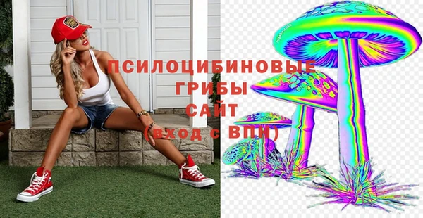 альфа пвп Гусев