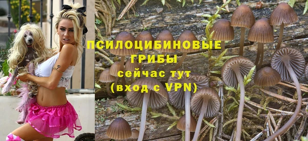 альфа пвп Гусев