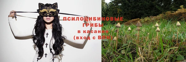 спиды Гусь-Хрустальный