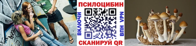 Галлюциногенные грибы Cubensis  Купить где  Кимовск 